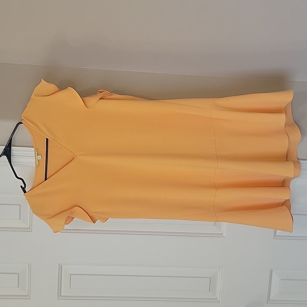 V-Neck Gianni Bini Flutter Sleeve Dress Size medium